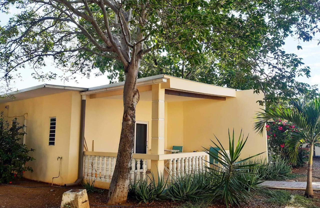 וילמסטאד Wayaca Mini Resort מראה חיצוני תמונה